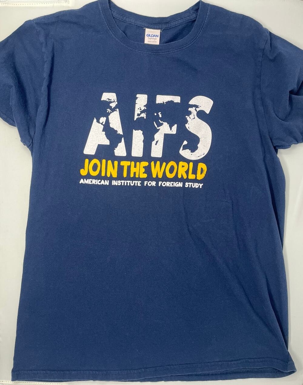 AIFS American Institute for Foreign Studies Tshirt size L Pre-Owned in fair cond